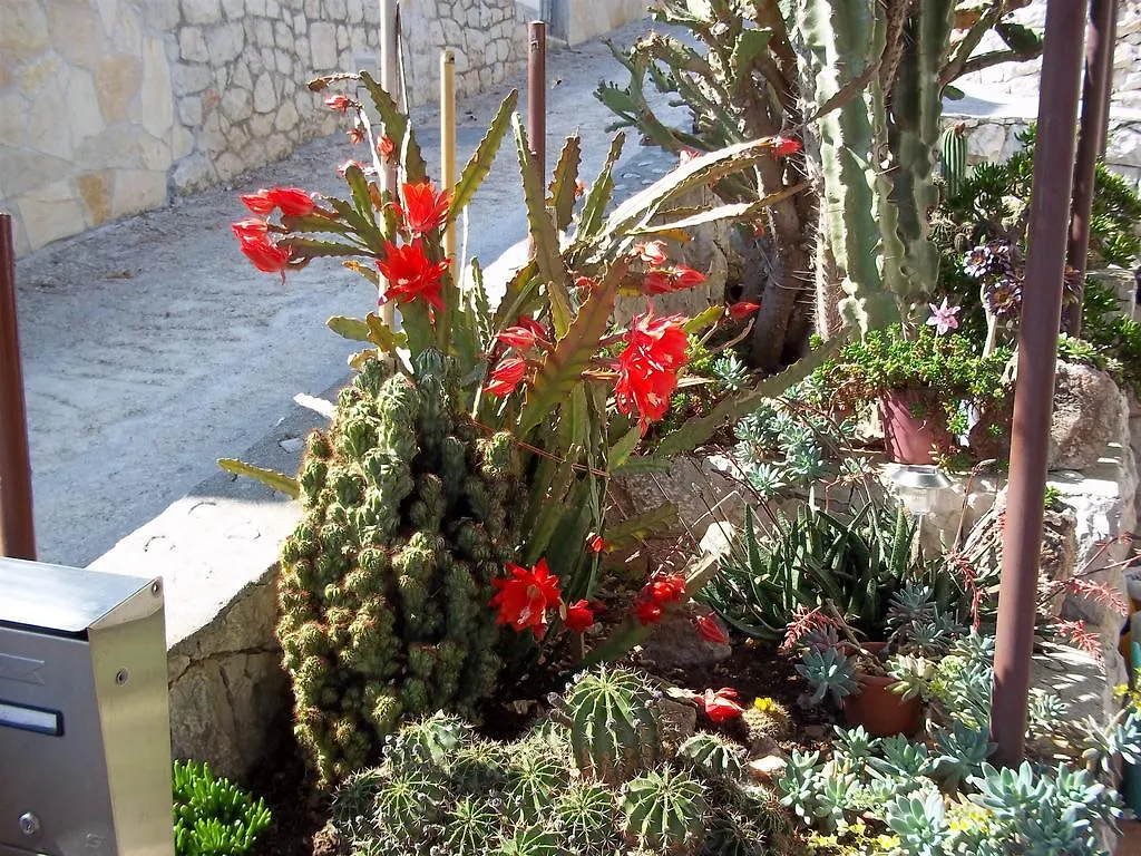 Apartments Katica Trogir
